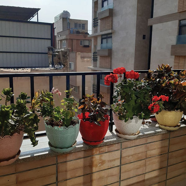 خیابان حکیم نظامی