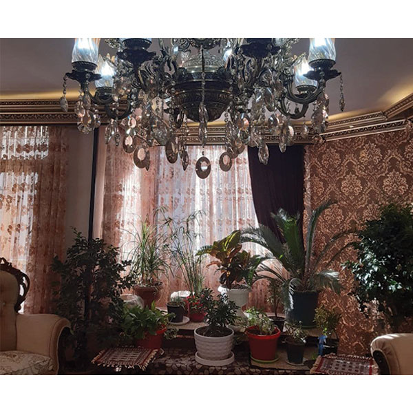 خیابان سهروردی . خیابان باغ زیار