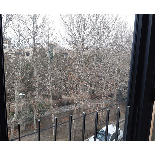 باغ غدیر . خیابان کوثر