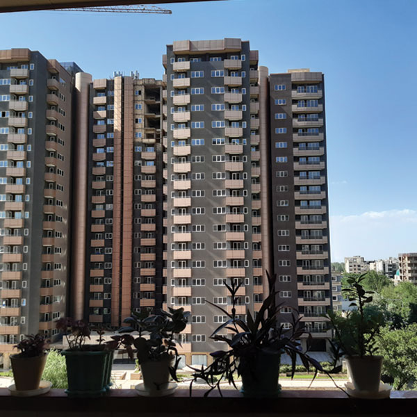 باغ زیار