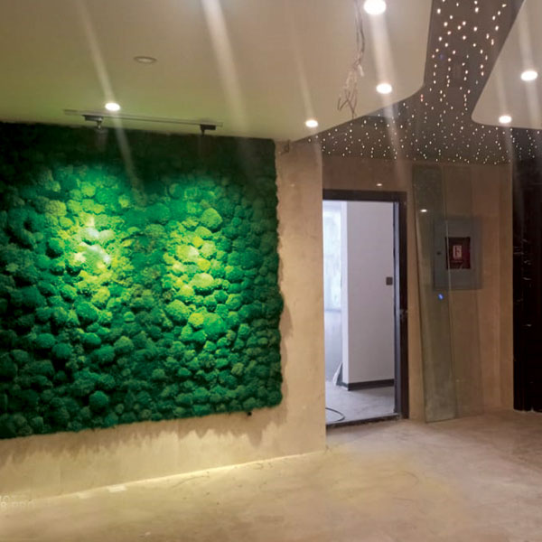 خیابان میرزاطاهر