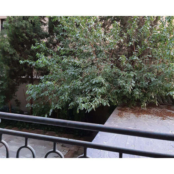 خیابان آبشار . خیابان مسرور